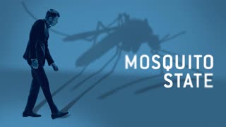 Государство комаров (2020)