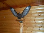 Петя Андриїшин фотография #19 (источник - https://vk.com/id59811466)