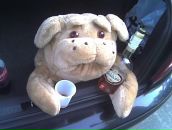 Роман Гріндзяк фотография #24 (источник - https://vk.com/id112149222)