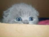 Фотография Серовой Марии