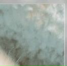 Мар'яна Кушнір фотография #24 (источник - https://vk.com/id46121172)