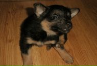 Софія Курман фотография #35 (источник - https://vk.com/id87935995)