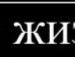Діна Козодой фотография #31 (источник - https://vk.com/id97506169)