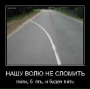 Фотография Павлова Алексея