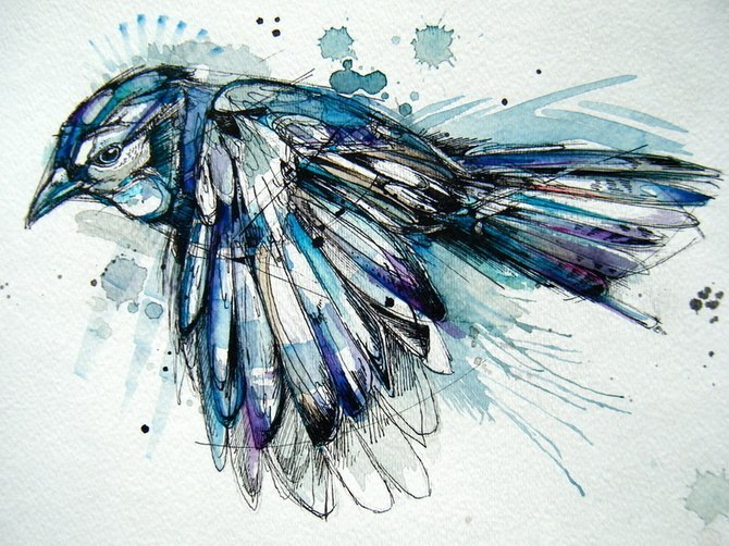 Дмитрий Евлашкин фотография #32