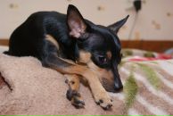 Фотография Perfect Amina