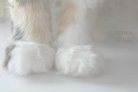 Фотография Bogdanova Polina