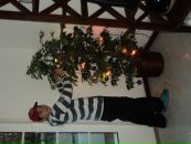 Васько Філей фотография #27 (источник - https://vk.com/id79990357)