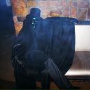 Фотография Носова Дмитрия