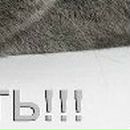 Оля Бондарчук--Варшавець фотография #42 (источник - https://vk.com/id52409522)