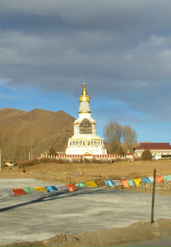 Дмитрий Стародубцев фотография #46