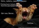 Тіна Кароль фотография #8 (источник - https://vk.com/id168345197)