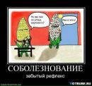 Коля Пасічник фотография #48 (источник - https://vk.com/id11779947)