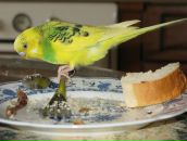 Kirill _| фотография #29 (источник - https://vk.com/id97007344)