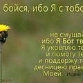 Віталій Тадеушевич фотография #47 (источник - https://vk.com/id120379851)