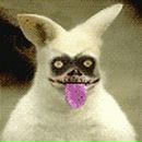 Фотография Щучкина Александра