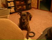 Фотография Ито Оксаны