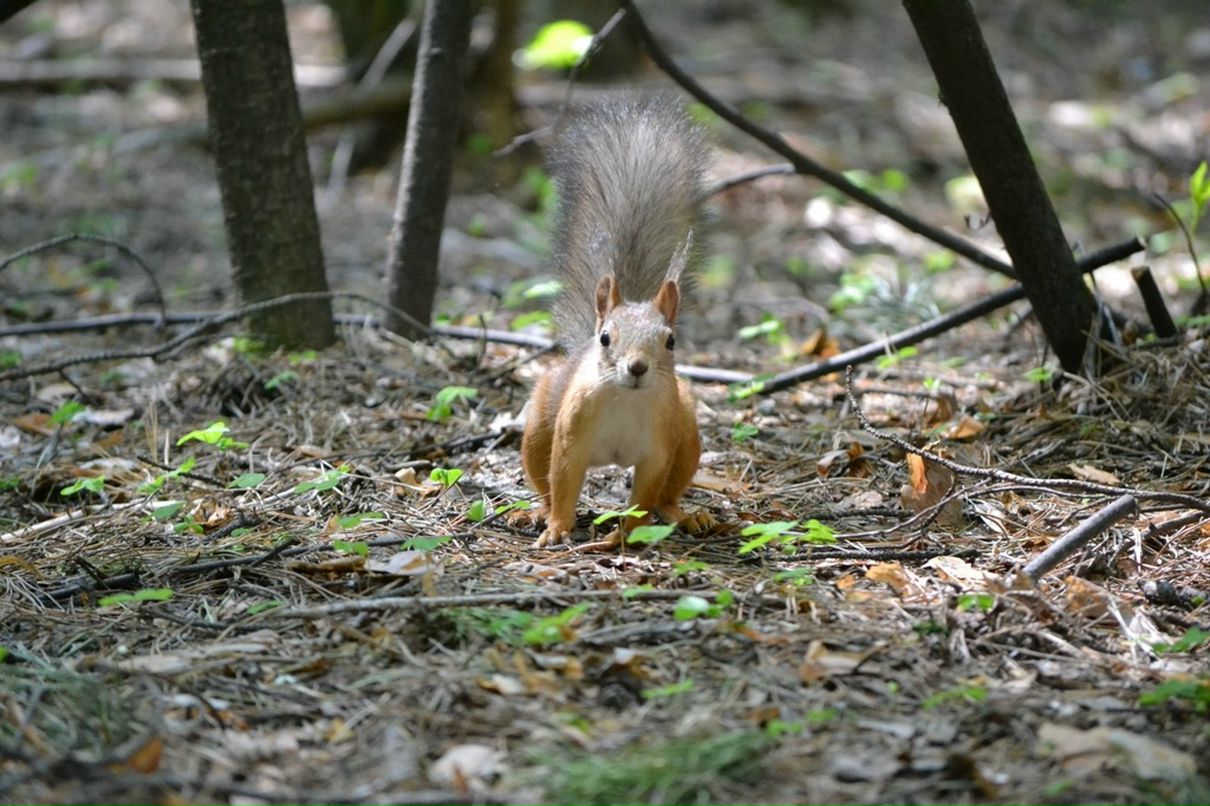 Константин Басалаев фотография #49