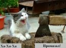Славік Славік фотография #50 (источник - https://vk.com/id151660371)