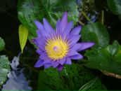 Фотография Перелыгиной Ольги