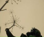 Фотография Жорницкой Ксении