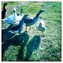 Фотография Kazeev Nikolay