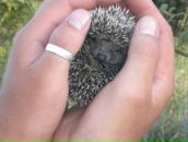 Сергей Лтвиненко фотография #20 (источник - https://vk.com/id34074634)