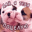 Максім Рипаленко фотография #12 (источник - https://vk.com/id62382074)