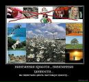 Ольга Вередін фотография #29 (источник - https://vk.com/id120300412)