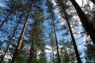 Анна Иванова фотография #38 (источник - https://vk.com/id3065498)