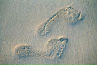 Фотография Голубевой Ирины