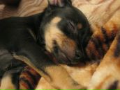 Фотография Якимовой Татьяны