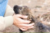 Фотография Клименко Кристины