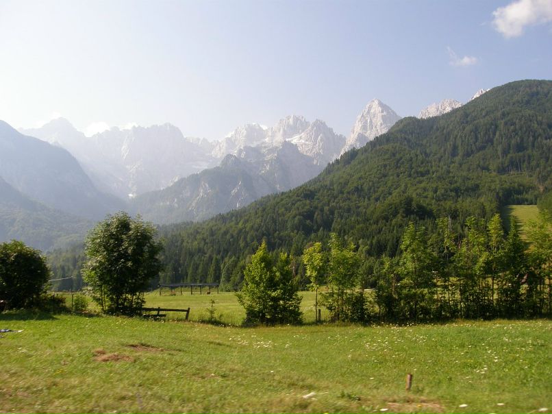 Ксения Черных фотография #33