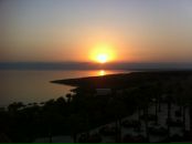 Дмитрий Алексеев фотография #23 (источник - https://vk.com/id488410)