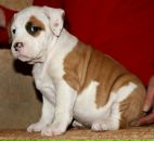 Фотография Потаповой Ларисы