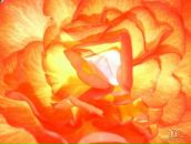 Фотография К Анны