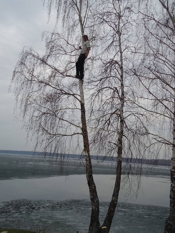 Дмитрий Лекомцев фотография #37