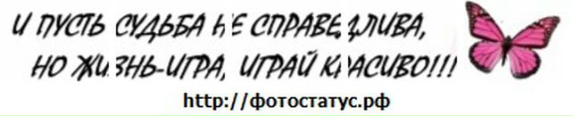 Софія Мирович фотография #8 (источник - https://vk.com/id41384516)