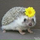 Іринка Ярмолюк фотография #30 (источник - https://vk.com/id147113231)