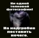 Фотография Васильевой Дарьи