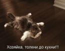 Кристіночка Шпакович фотография #11 (источник - https://vk.com/id156519513)