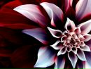 Фотография Помориной Анастасии