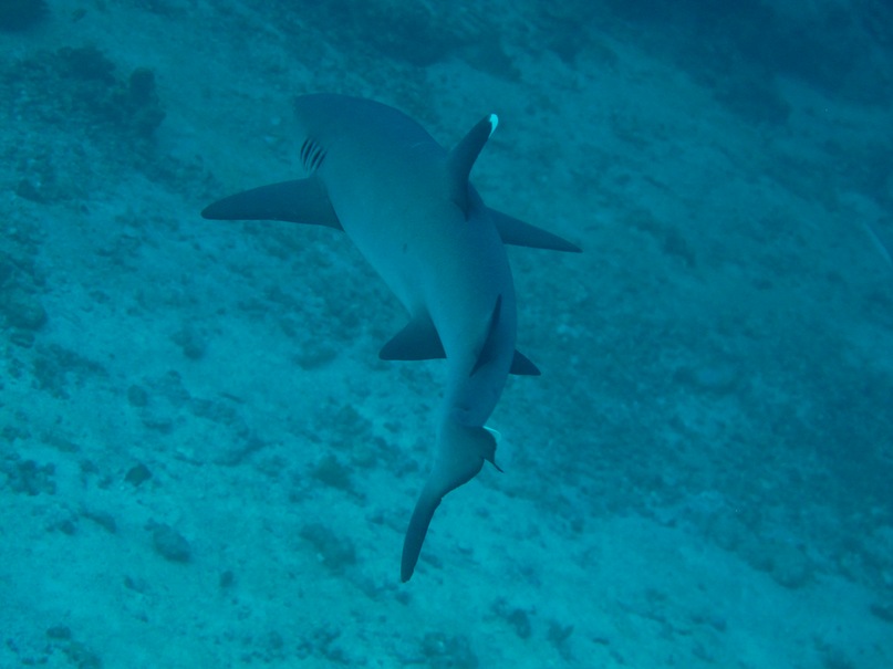 Alexey E фотография #29