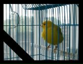 Фотография Коновалова Сергея