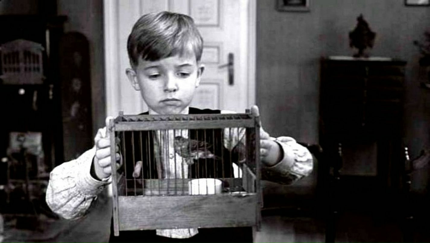 Александр Жунка фотография #16