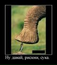 Міша Мелещук фотография #36 (источник - https://vk.com/id131626885)