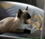 Діма Шадрічев фотография #12 (источник - https://vk.com/id38368103)