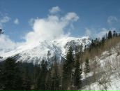 Фёдор Сельцов фотография #50 (источник - https://vk.com/id461729)