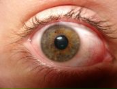 Фотография Суворова Андрея